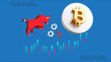 Crypto Market