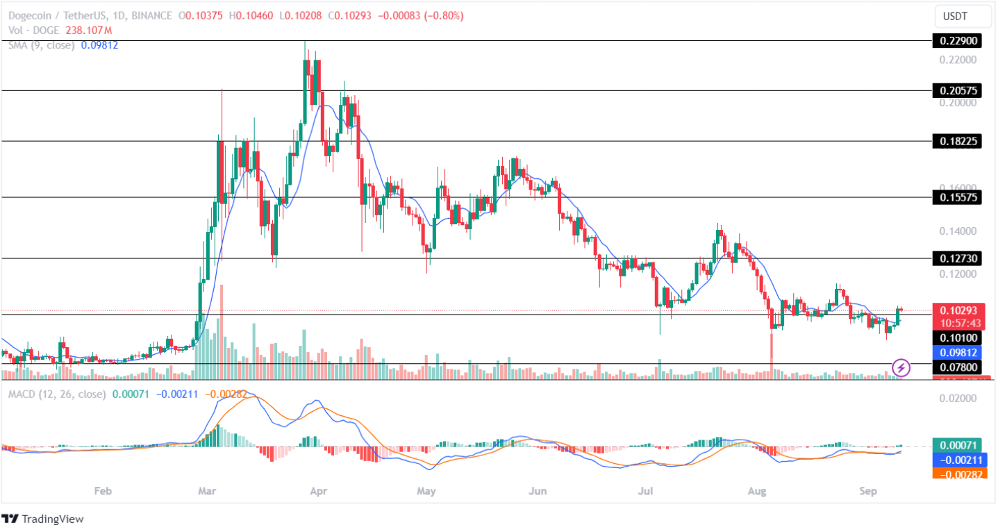 Почему цена Dogecoin (DOGE) сегодня выросла?