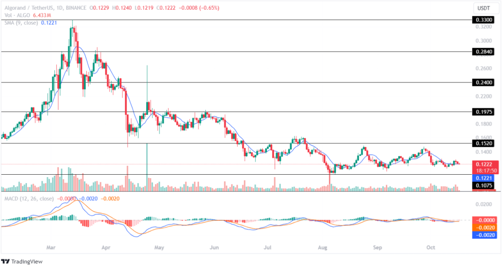 Algorand Price Projection October 2024