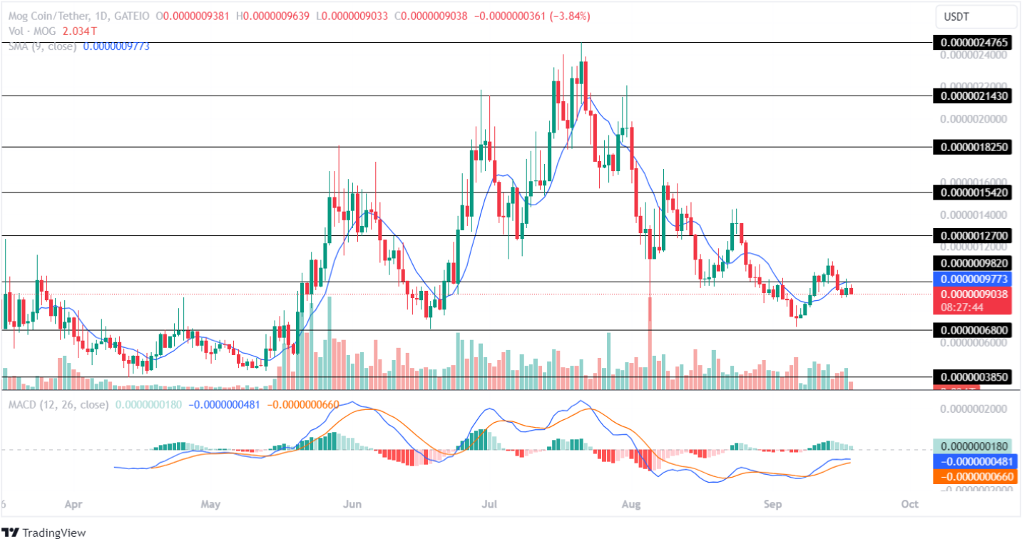 4. Çeyrekte 3 Kat - 5 Kat Artış İçin Memecoin Satın Alınmalı!