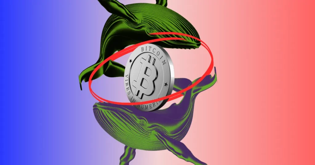 Bitcoin Old Whales Moving Millions: Is a Sell-Off Coming?