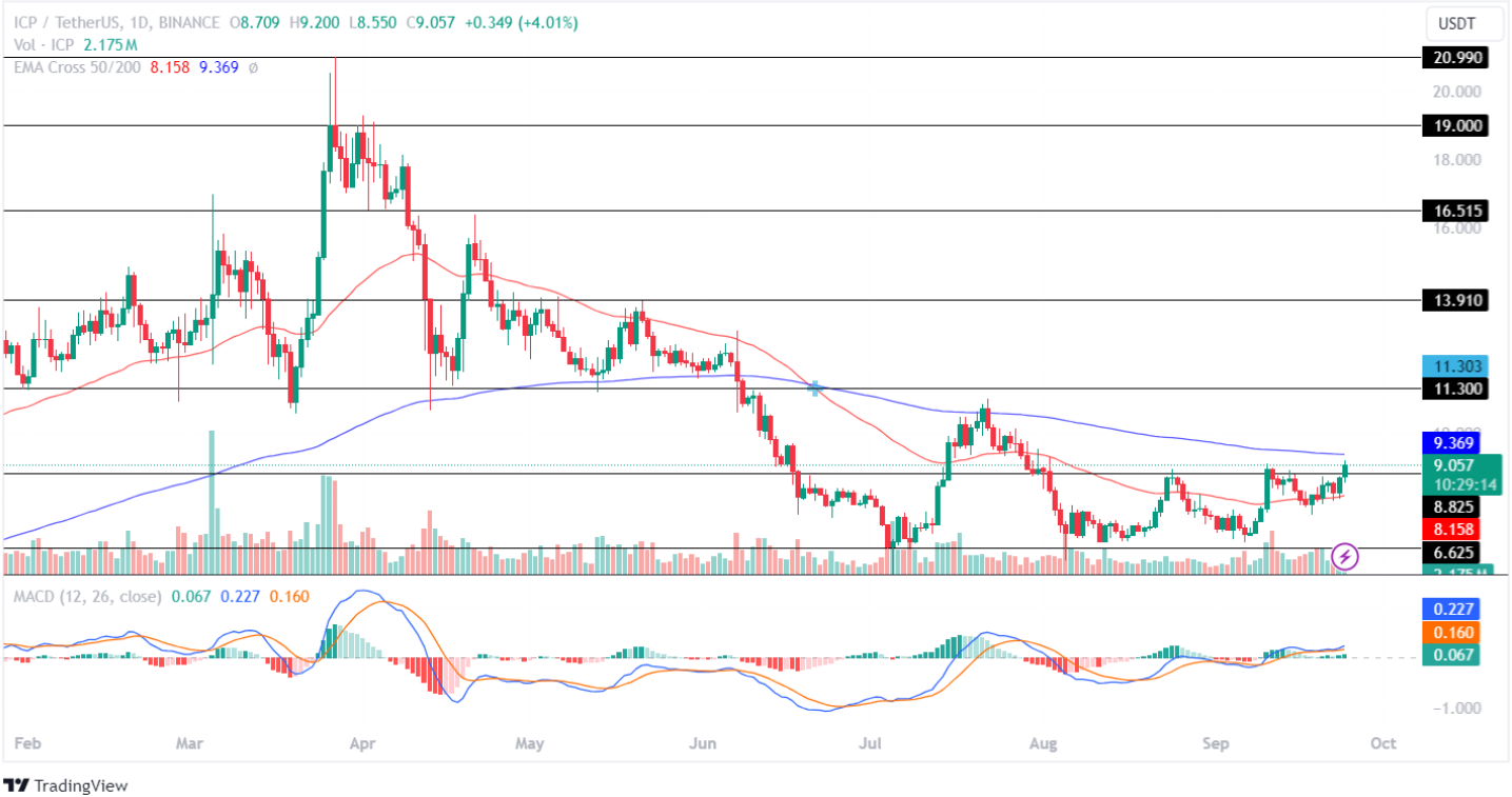 ICP Price Analysis 24th Sept 2024