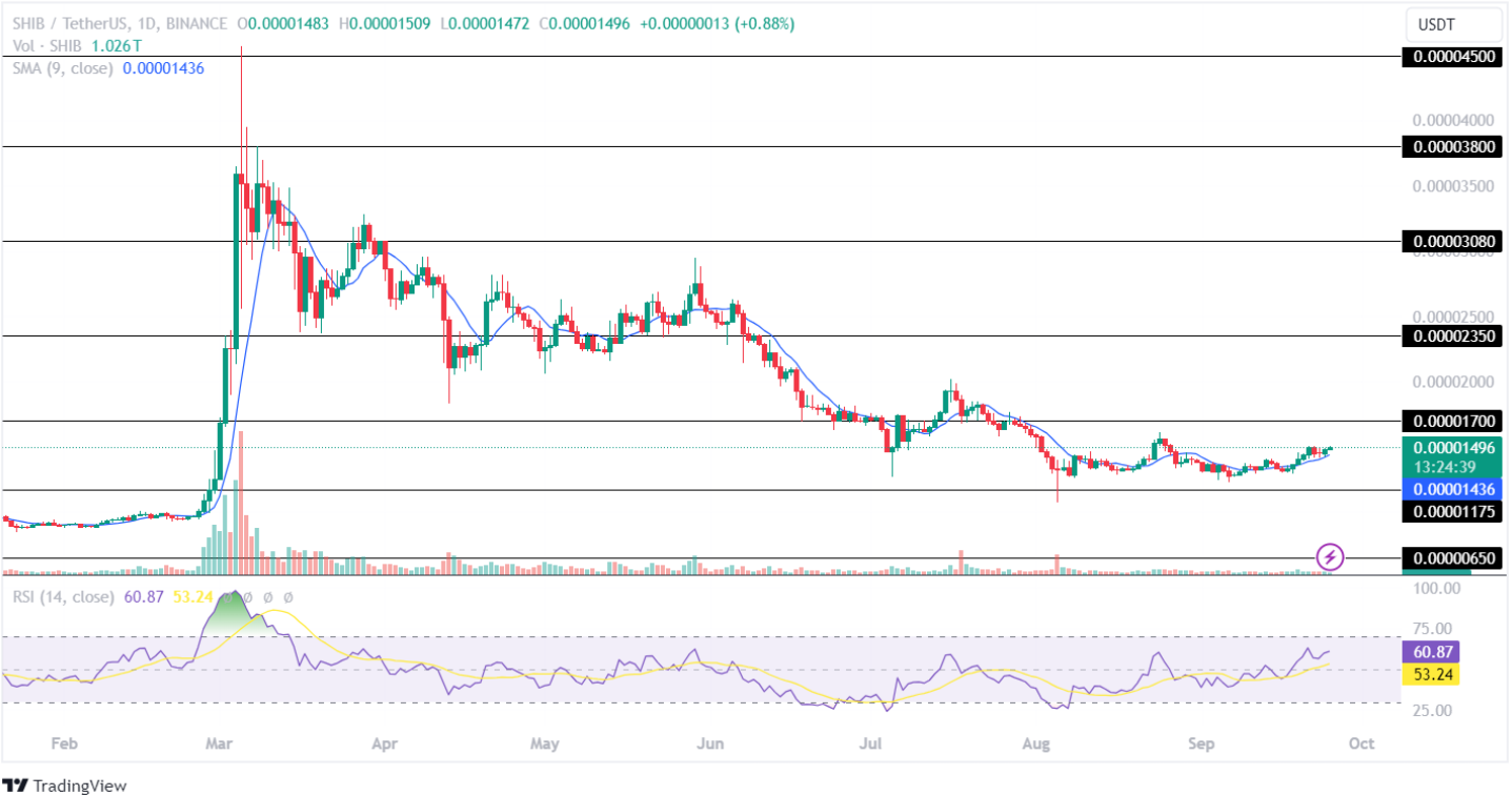 SHIB 25th sept 2024 price analysis