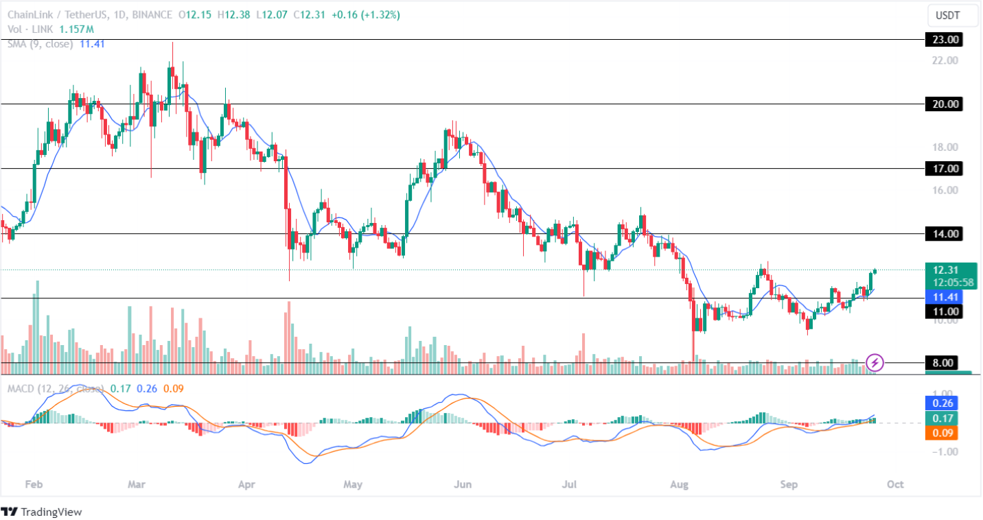 Giá Chainlink tăng 20%, Giá LINK đạt 17 USD?