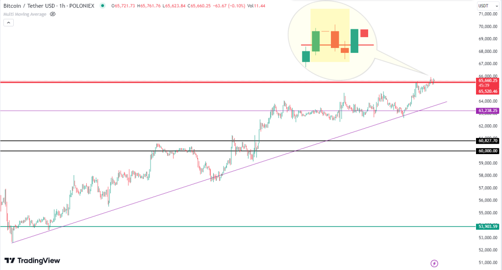 Bitcoin ultrapassou US$ 65.000; Manteria ou cairia para US$ 63.000?