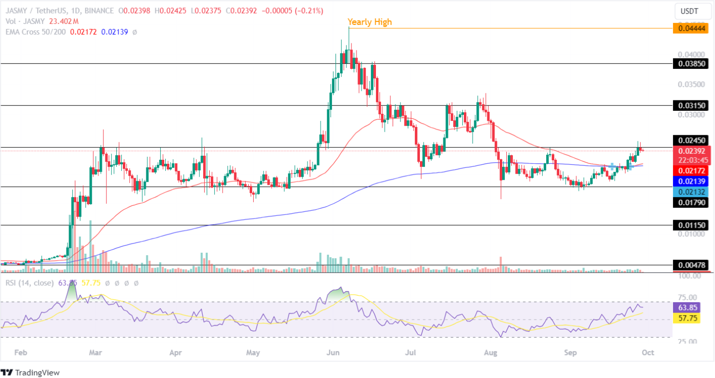 Jasmine Price Analysis 29/9/2024