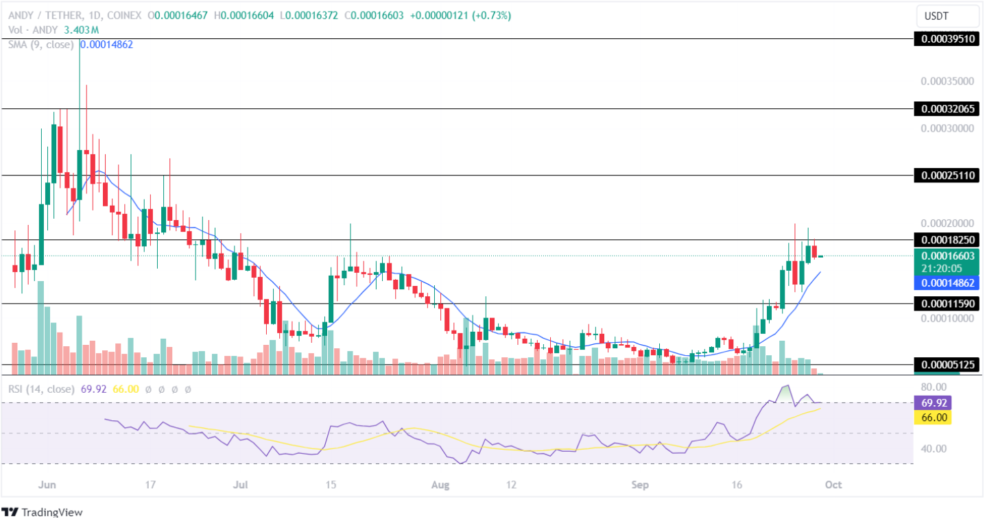 Andy Price Analysis 29/9/2024