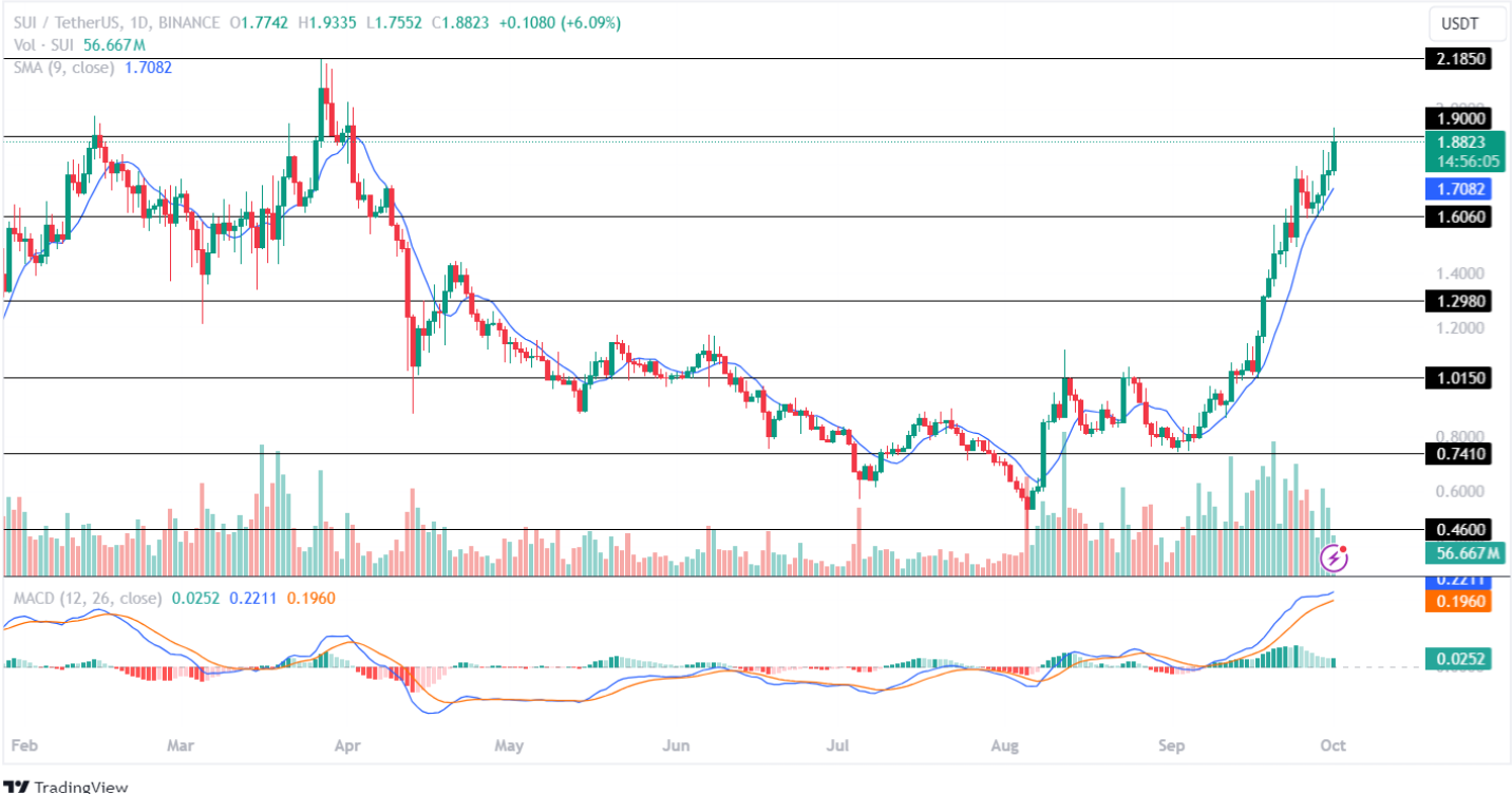 ตลาด Crypto สามารถดำเนินการได้อย่างไรในเดือนตุลาคม โทเค็นยอดนิยมที่น่าจับตามอง!