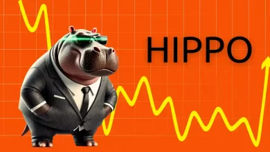 HIPPO Memecoin: Investor Turned $368 into $2 Million in Just Three Days