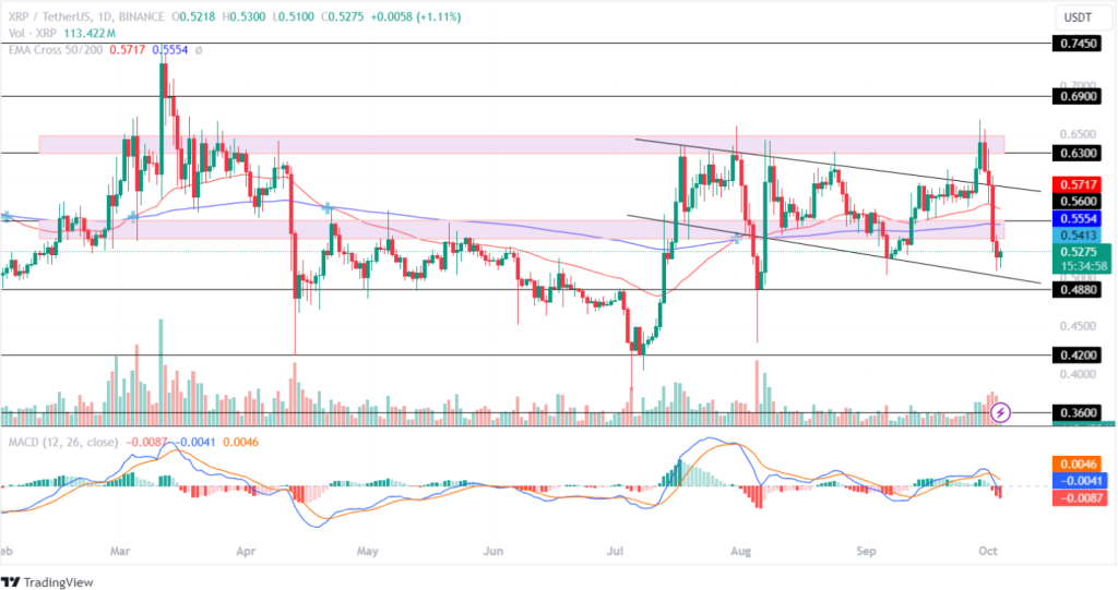 Ripple mất giá trị trong bối cảnh kháng cáo của SEC, giá XRP giảm 0,42 USD?