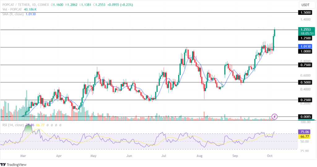 Popcat Price Analysis 05th October 2024