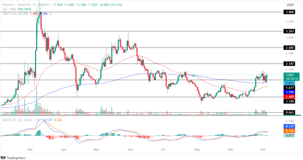 Топ-3 токенов AI для инвесторов в 2024 году!