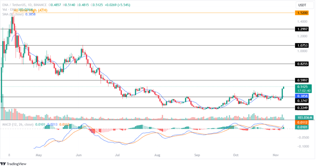 Ethena Coin Price Action November 2024