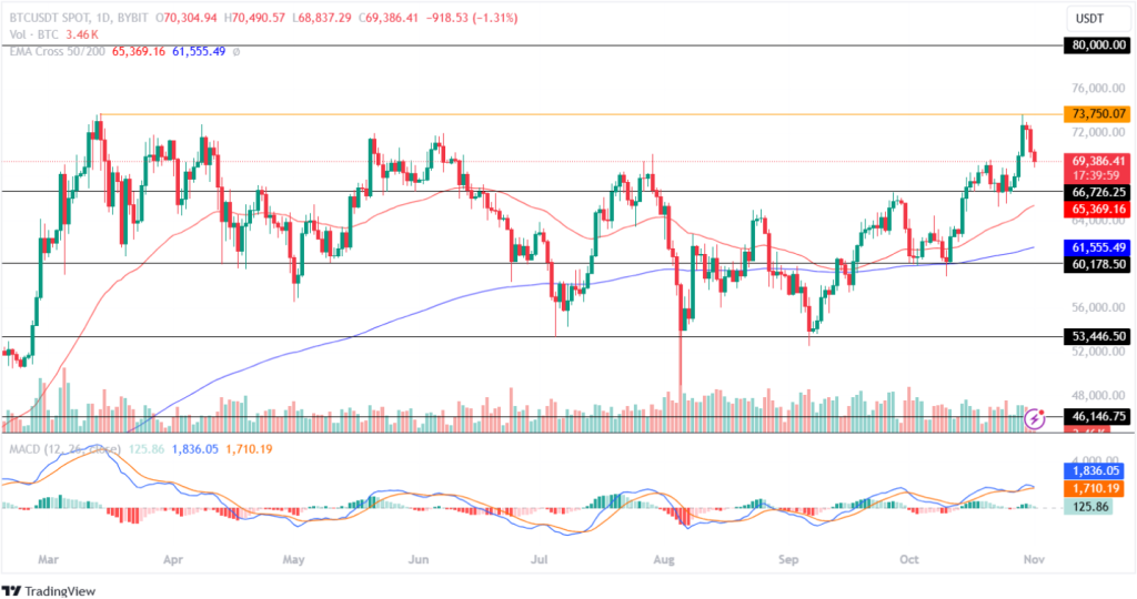 Bitcoin Price Prediction 01st November 2024