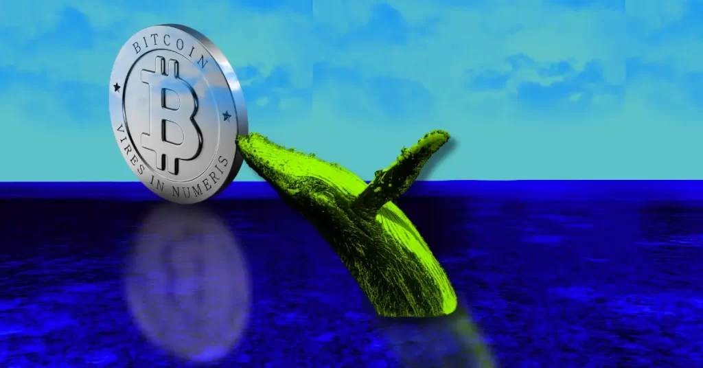 Crypto Whale Bags $8.9M Profit, But Lost All After Buying Back at Higher Price