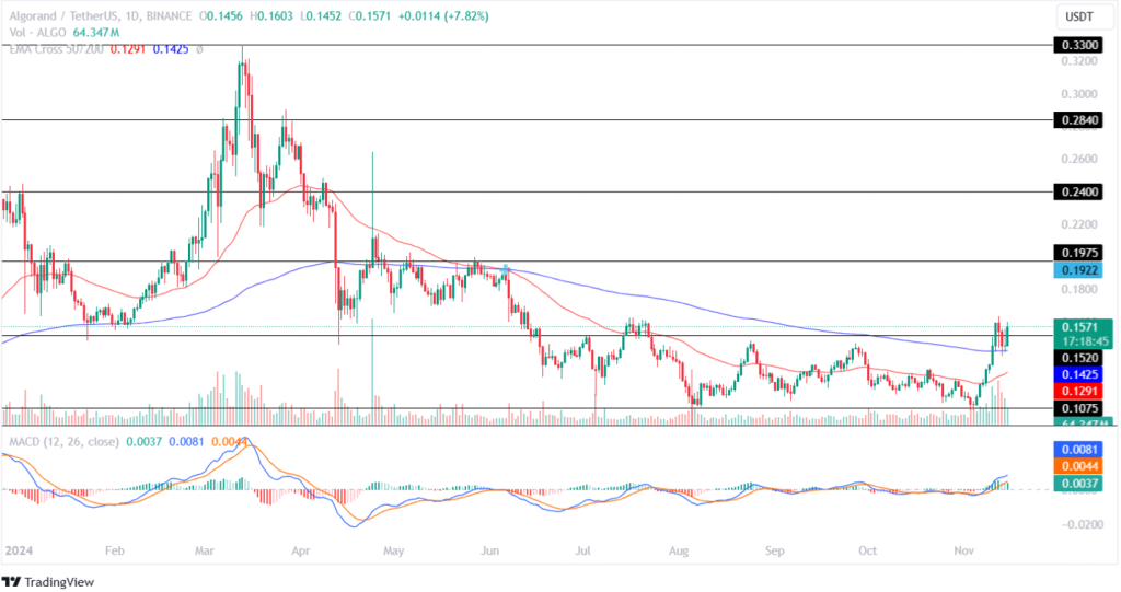 Algorand Price Prediction 15th November 2024