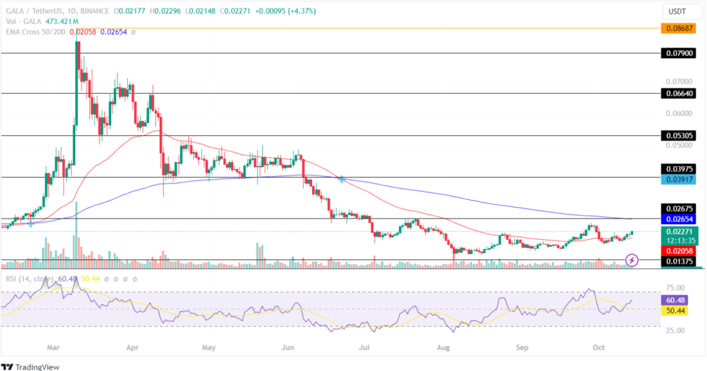 Gala Price Analysis 14th October 2024