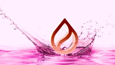 SUI Price Drops 18% From ATH To Retest $1.60 This November?