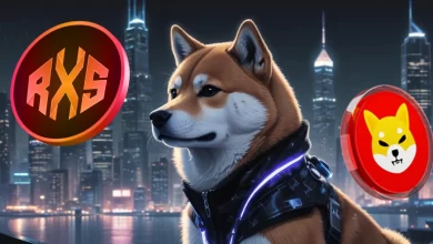 rexas-finance-shib
