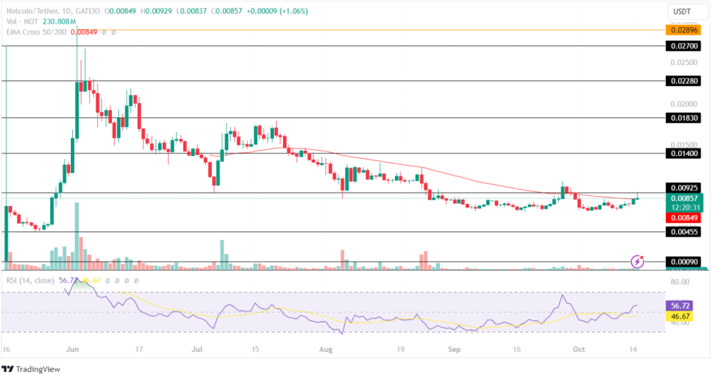 Toncoin (TON) vấp ngã nhưng Notcoin (NOT) tăng vọt, điều gì tiếp theo?