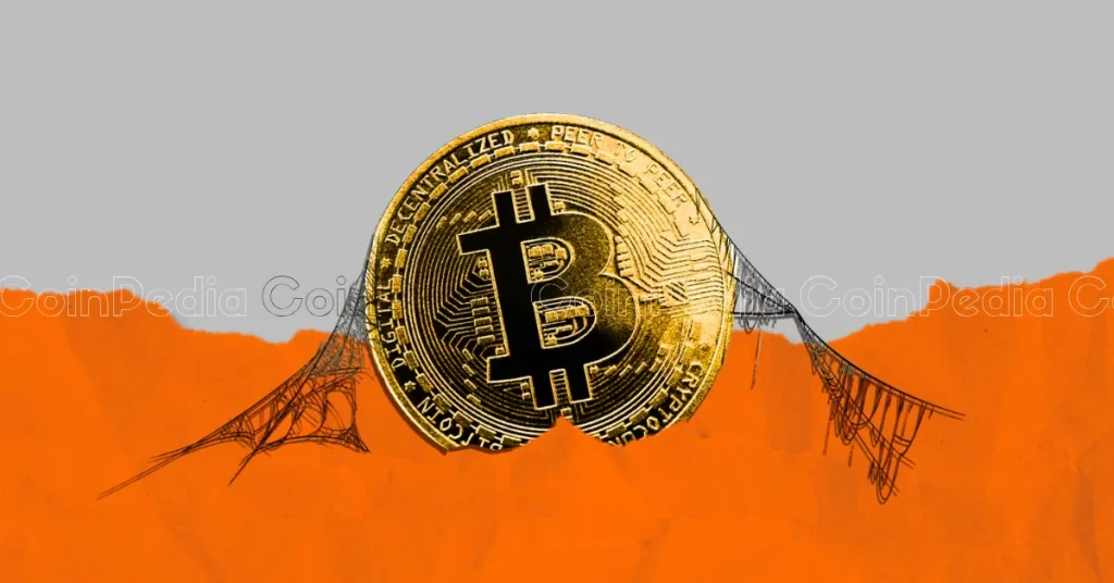 Bitcoin Yeni ATH'lerden Sadece Dolar Uzakta: Boğalar 74 Bin Dolar ve 80 Bin Doları Hedefliyor