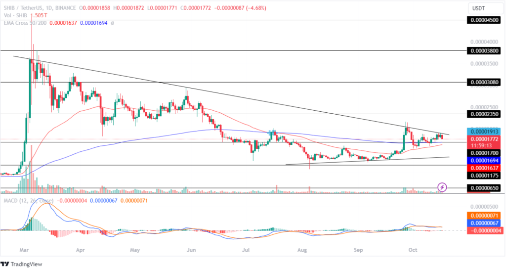 Shiba Inu Price Analysis 17th October 2024