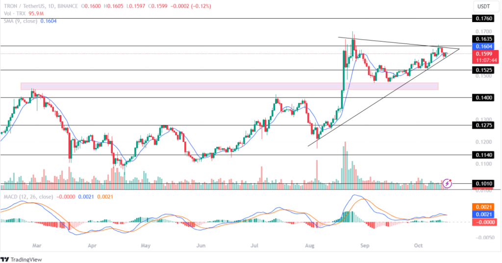 Tron Price Analysis 17th October 2024