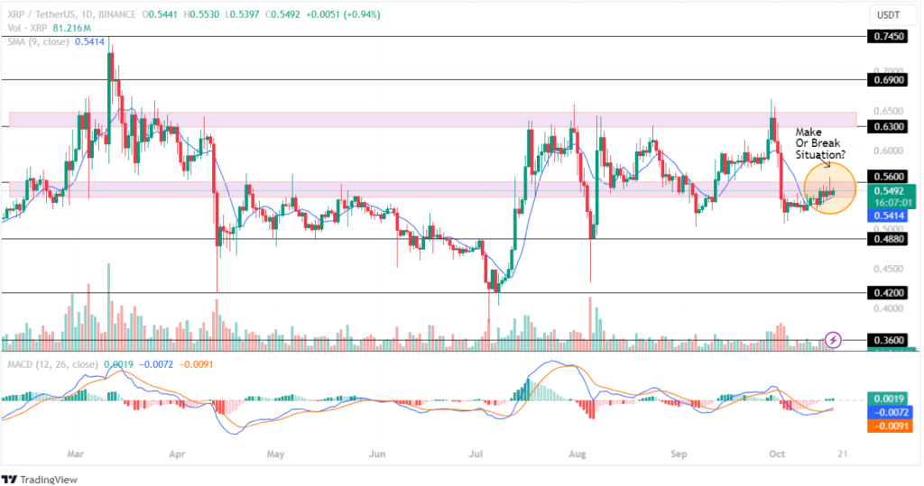 Ripple Price Prediction 18th October 2024