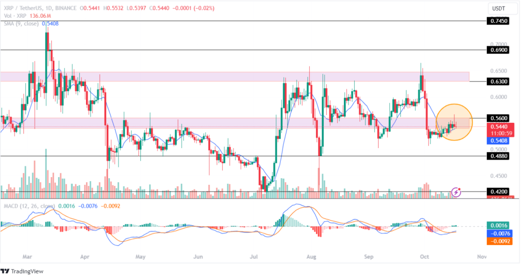 การคาดการณ์ราคา Ripple: ราคา XRP พุ่งสูงขึ้นแม้จะมีการอุทธรณ์จาก SEC หรือไม่?