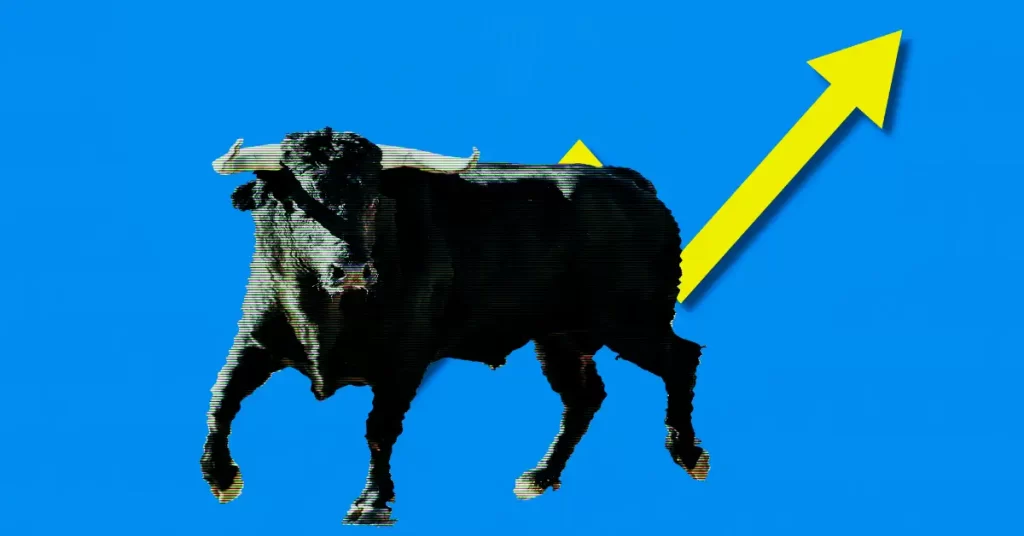 Crypto Bull Run