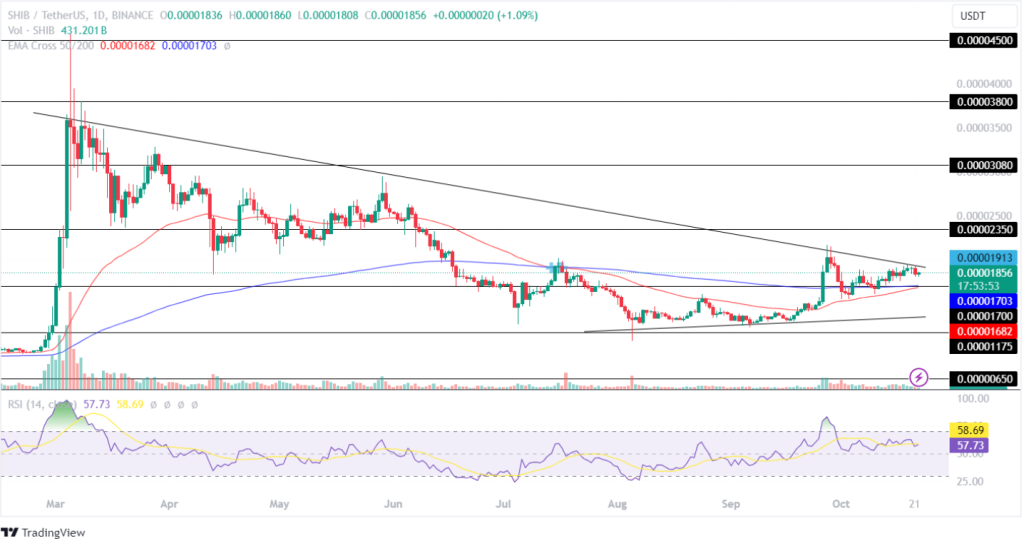 Shiba Inu Price Analysis 22nd October 2024