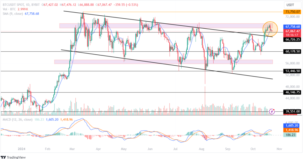 BTC Price To Retest It's Important Support Trendline?