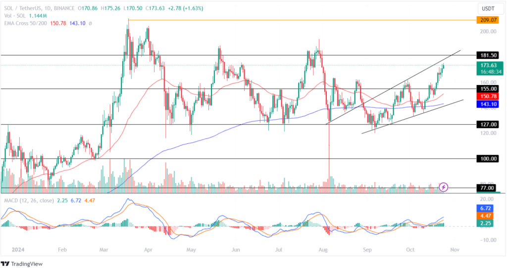 Solana Price Records Increased Bullish Action!