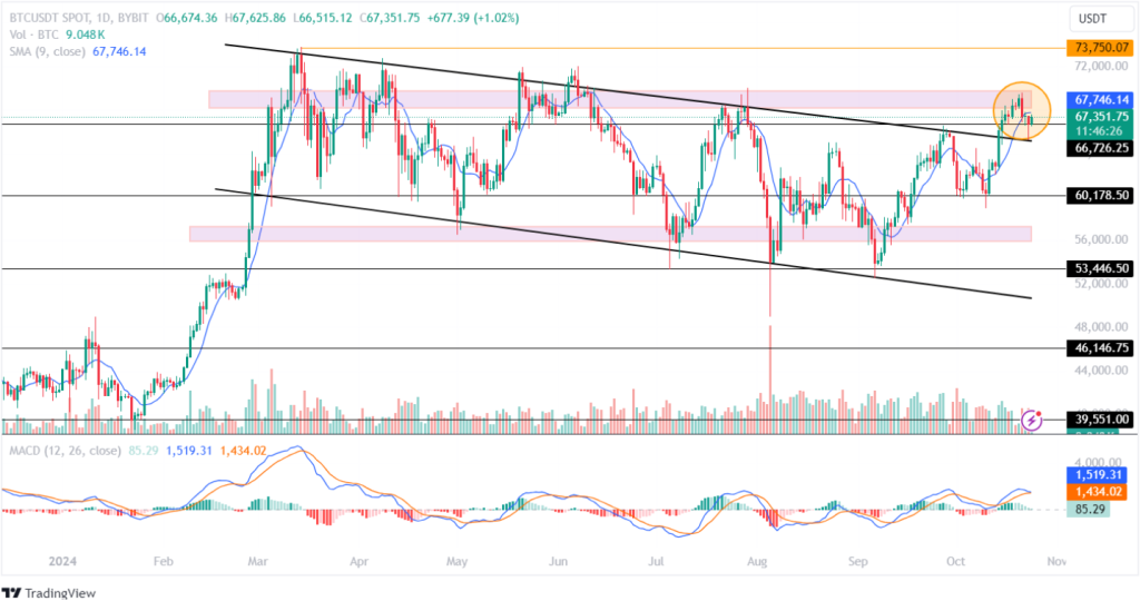 Bitcoin November Price Target