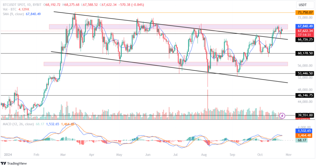 BTC Price Analysis 25th Oct 2024