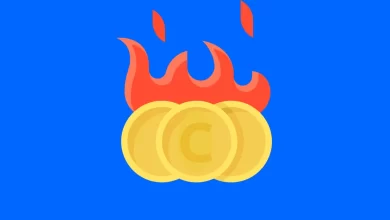 What is Coin Burn In Cryptocurrency_ Why Are Coins Burnt
