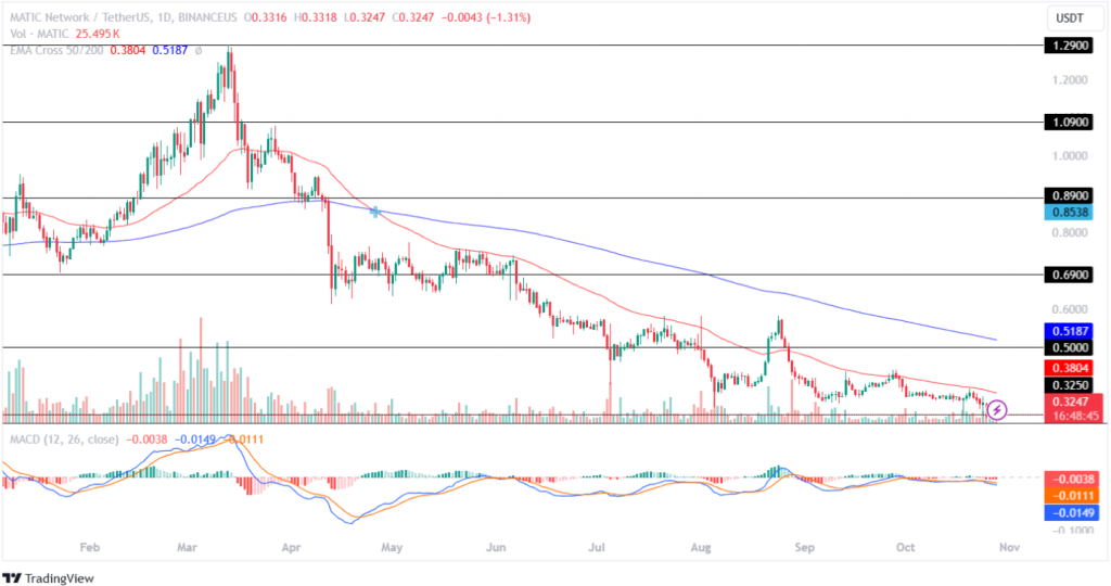 Polygon Price Prediction 28th October 2024