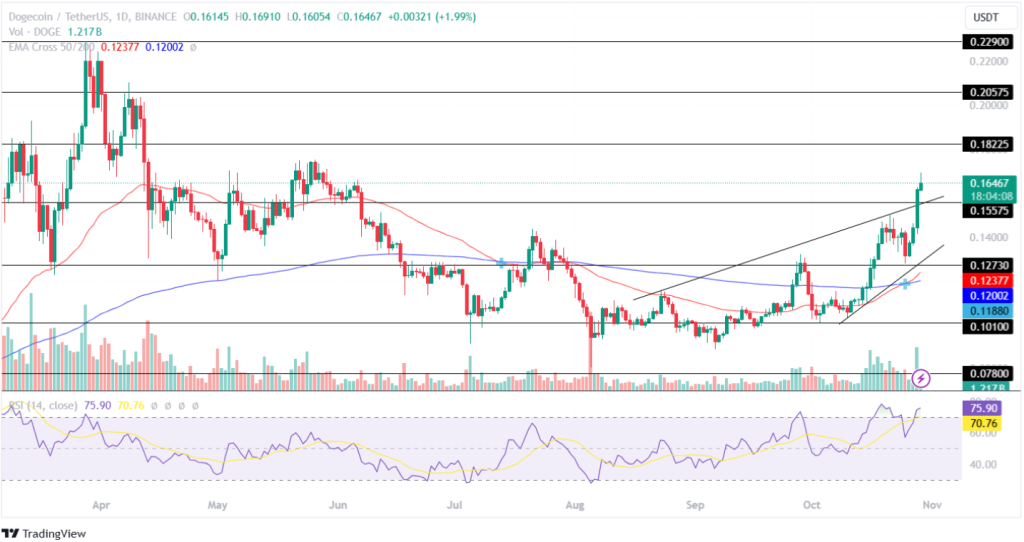 Dogecoin Price Analysis 29th October 2024