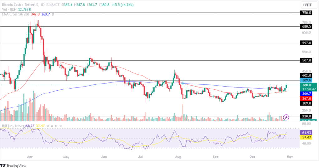 Bitcoin Cash Price Analysis 29th October 2024