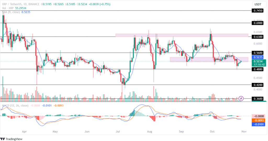 Ripple (XRP) ve Cardano (ADA) Fiyat Analizi: Bu Boğa Koşusuna Yatırım Yapmaya Değerler mi?