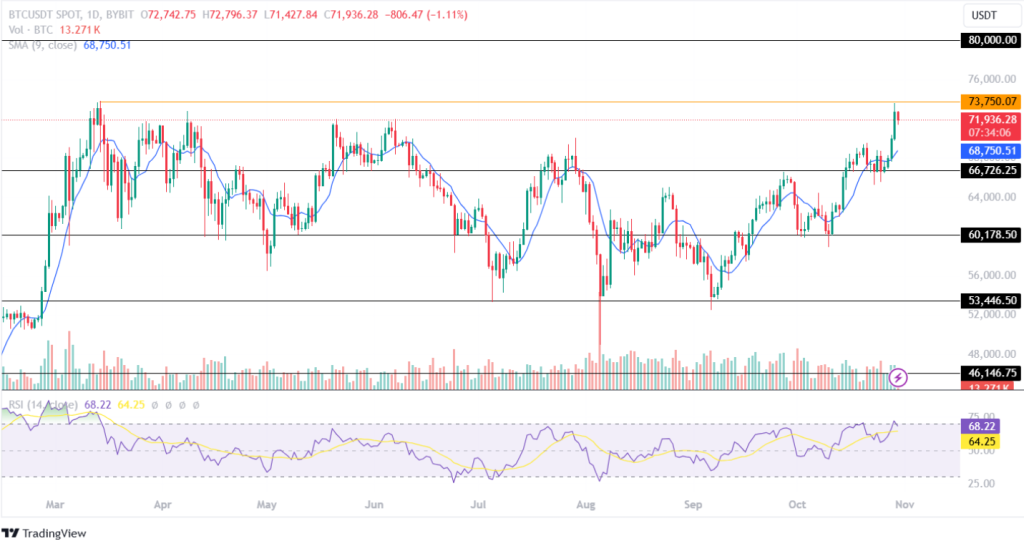 Bitcoin (BTC) Price Analysis 30th Oct 2024