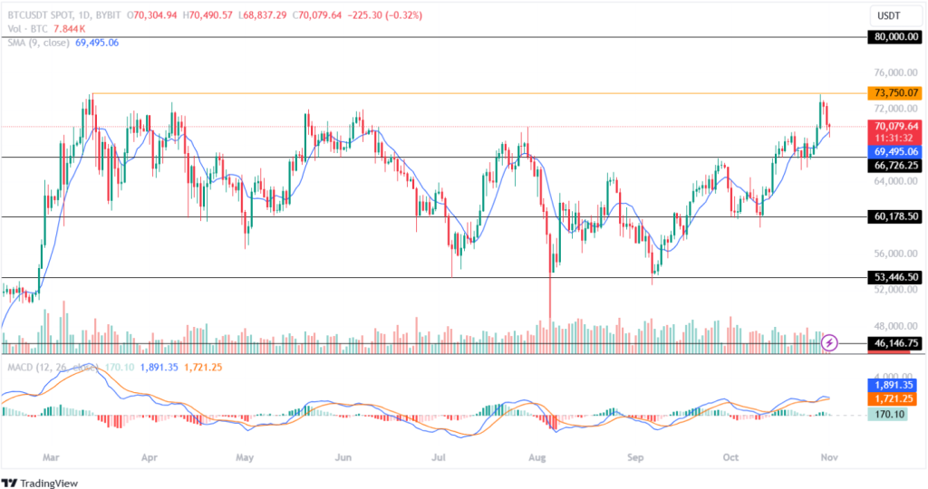 Bitcoin Price Analysis 01st November 2024