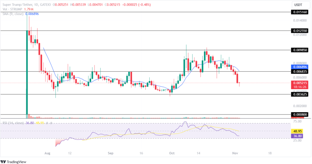 Altcoins เหล่านี้จะได้เห็นการเพิ่มขึ้น 10 เท่า หากทรัมป์ชนะการเลือกตั้ง!