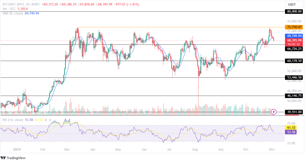 Bitcoin Price Analysis November 3, 2024