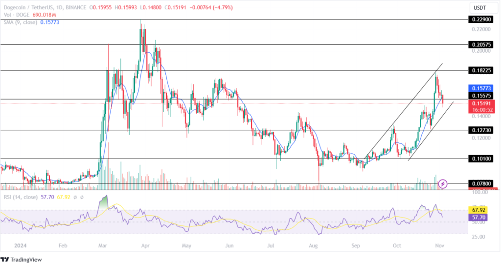 Dogecoin Price Analysis November 3, 2024