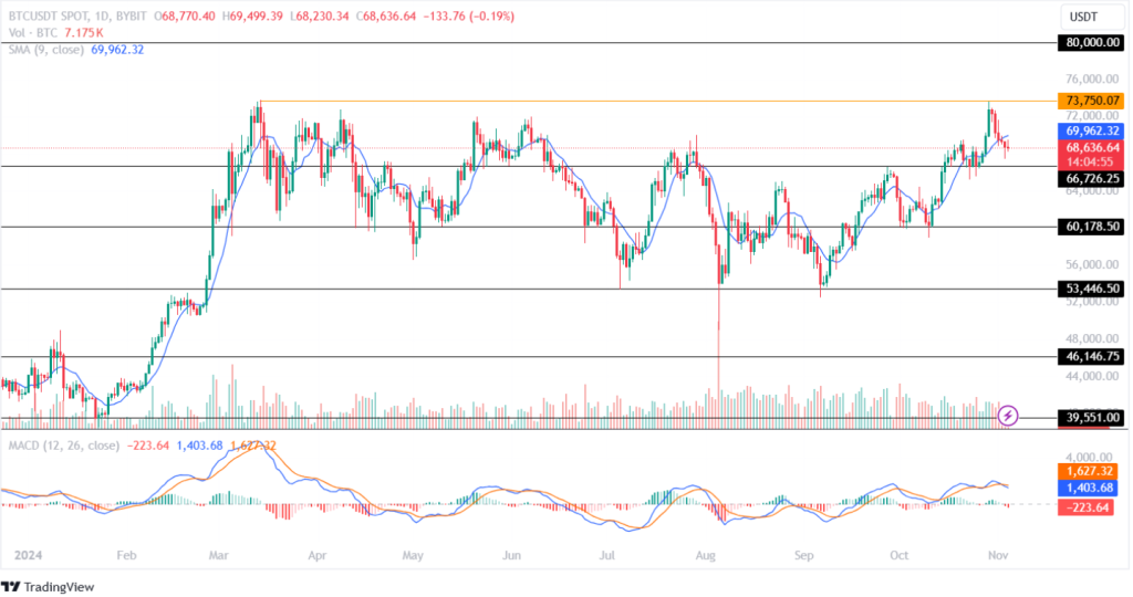 Bitcoin Price Analysis 04th November 2024