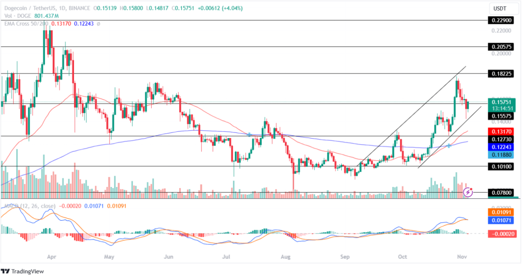 Dogecoin Price Analysis 04th November 2024