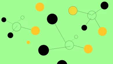 Interoperability in Blockchain Networks