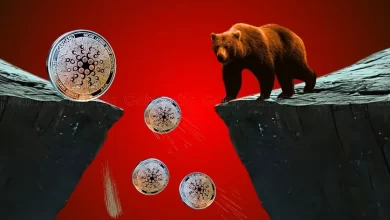 This Altcoin is Dead-No Matter Trump Wins or Harris— May Remain Consolidated Below the Range