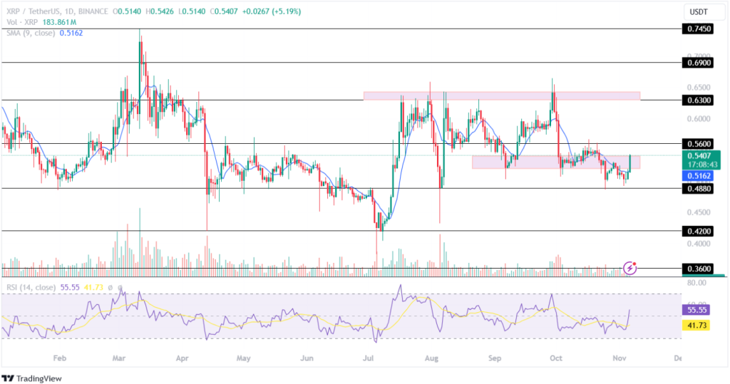 Ripple Price Prediction 06th November 2024